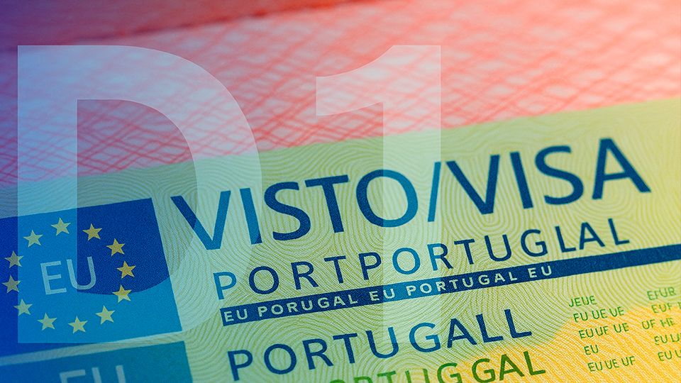 D1 Дозвіл на проживання для здійснення підпорядкованої професійної діяльності